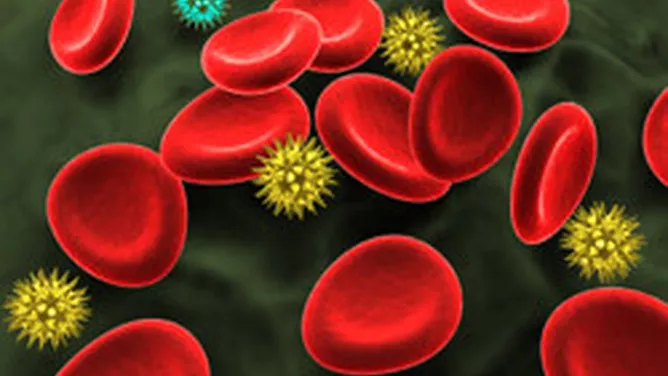 HI-Virus mit roten Blutkörperchen