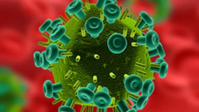 Darstellung des HI-Virus