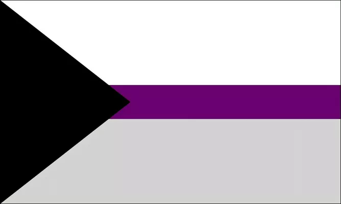Demisexuelle Pride Flagge
